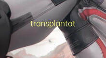 transplantation投稿经验800字(通用范文7篇)